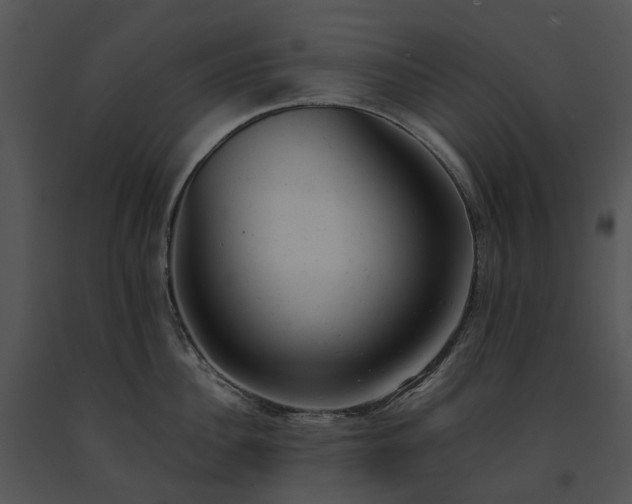 X0000091660956200708301436