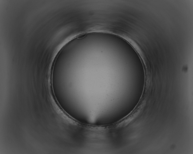 X0000091660957200708301436