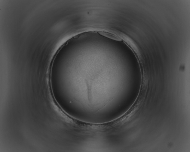 X0000091660958200708301436