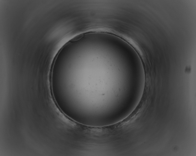X0000091660959200708301436