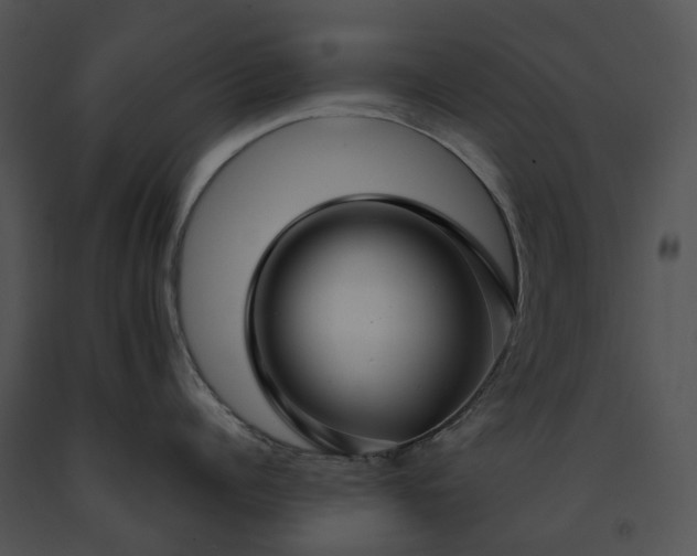 X0000091660960200708301436