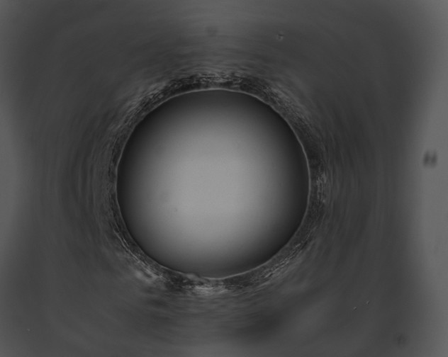 X0000091660961200708301436