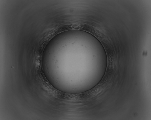 X0000091660962200708301436