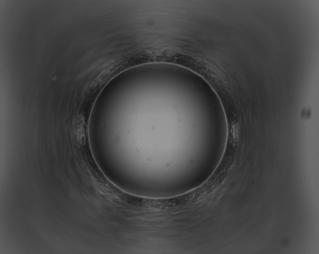 X0000091660963200708301436