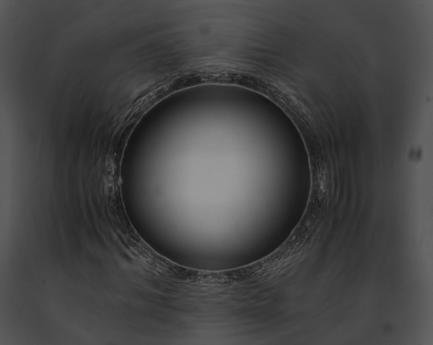 X0000091660964200708301436