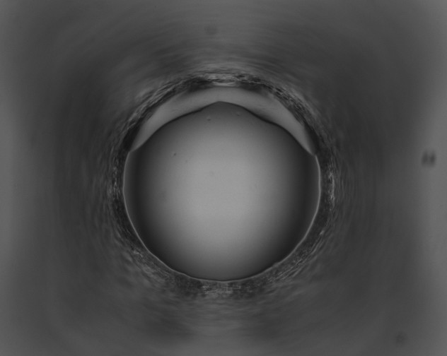 X0000091660965200708301436