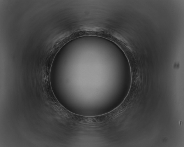 X0000091660966200708301436