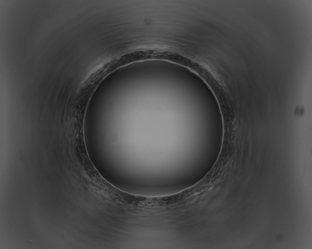 X0000091660967200708301436