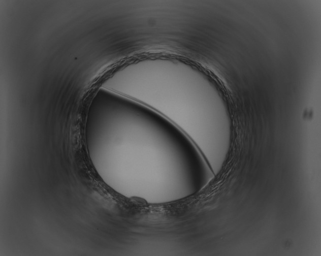 X0000091660968200708301436