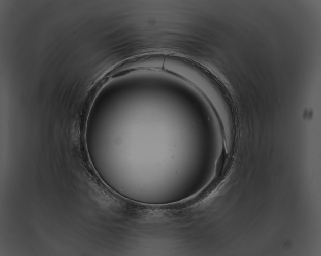 X0000091660969200708301436