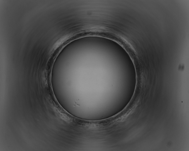 X0000091660970200708301435