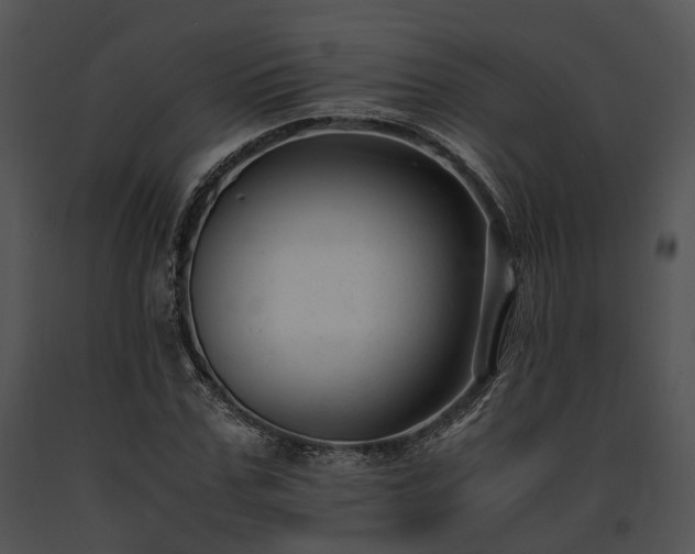 X0000091660971200708301435