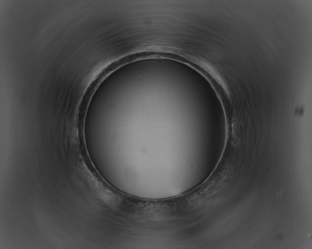 X0000091660972200708301435
