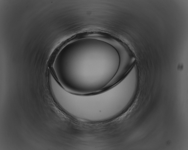 X0000091660973200708301435