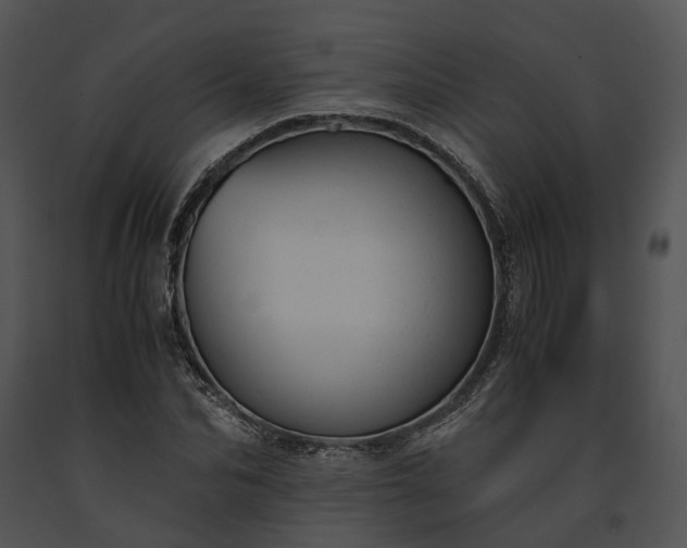 X0000091660974200708301435