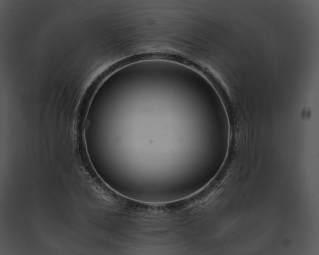 X0000091660975200708301435