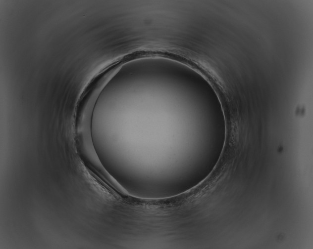 X0000091660976200708301435