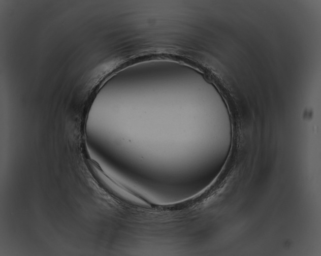 X0000091660977200708301435