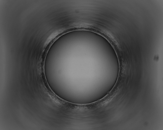 X0000091660978200708301435