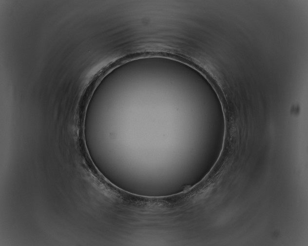 X0000091660979200708301435