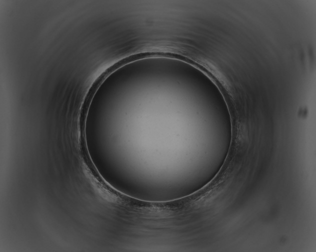 X0000091660980200708301435
