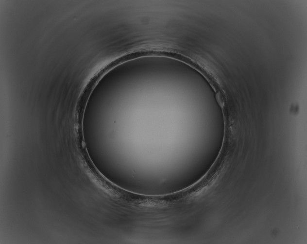 X0000091660981200708301435