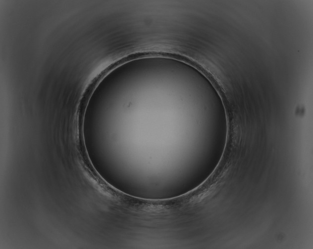 X0000091660982200708301435
