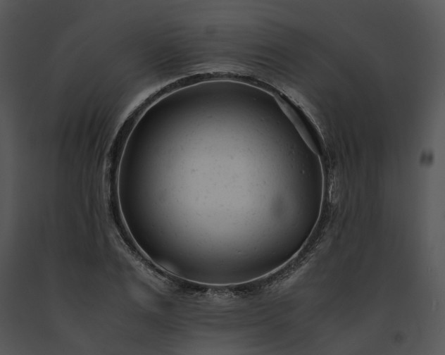 X0000091660983200708301435