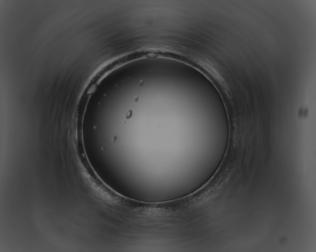 X0000091660984200708301435