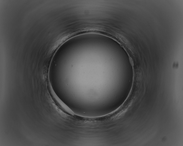 X0000091660985200708301435