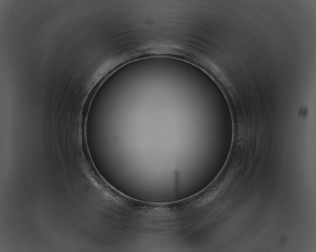X0000091660986200708301435
