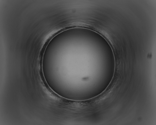 X0000091660987200708301435