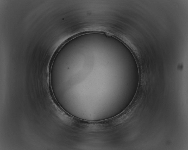 X0000091660988200708301435