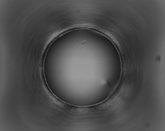 X0000091660989200708301435