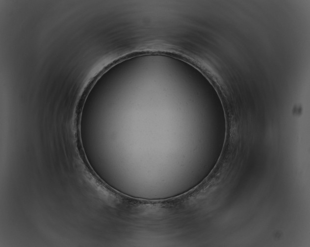 X0000091660990200708301435