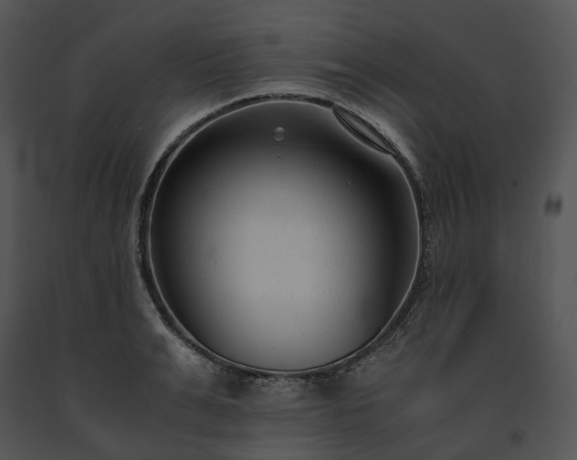 X0000091660991200708301435