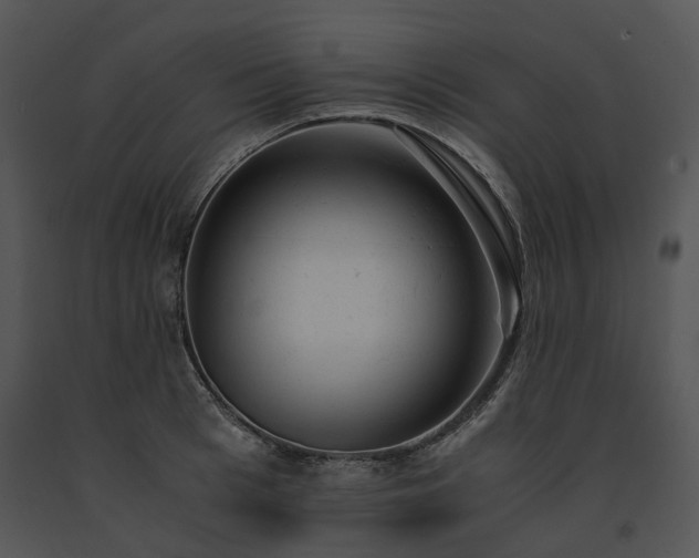 X0000091660993200708301435