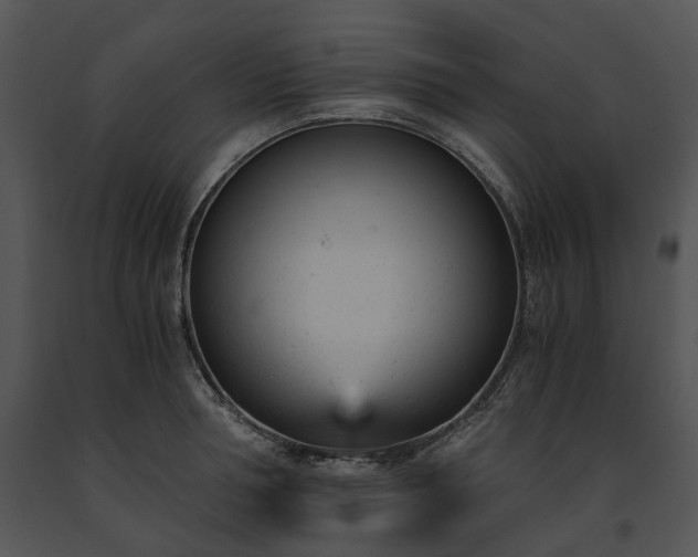 X0000091660994200708301435