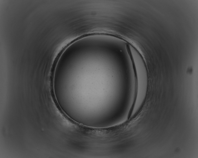 X0000091660995200708301435