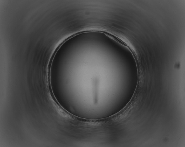 X0000091660996200708301435