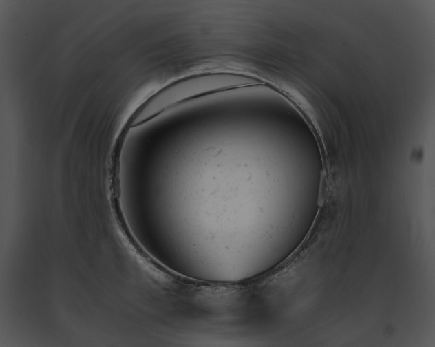 X0000091660997200708301435