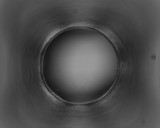 X0000091660998200708301435