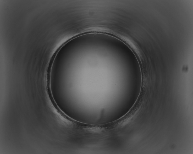 X0000091660999200708301435