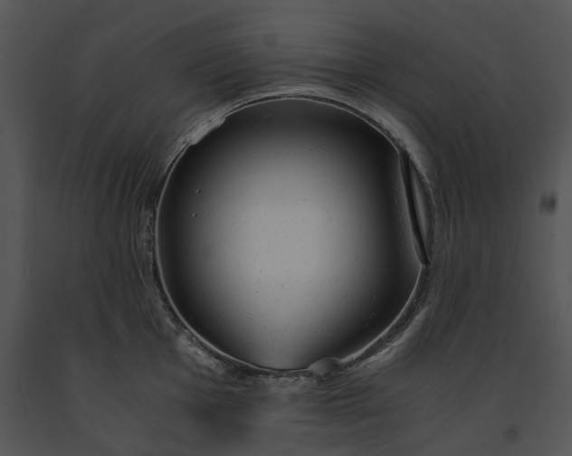 X0000091661001200708301435