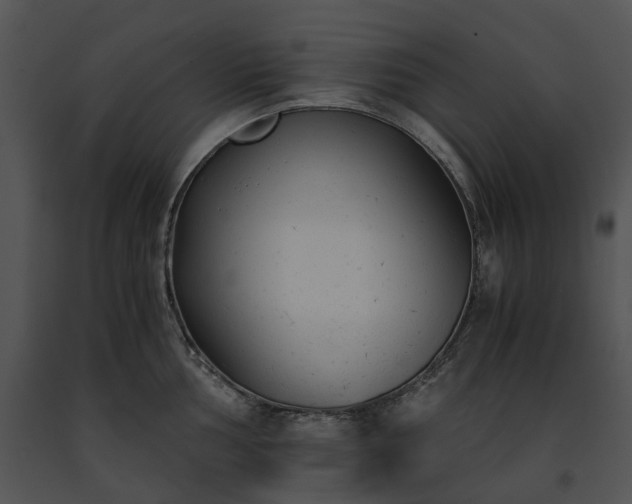 X0000091661002200708301435