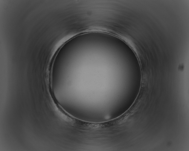 X0000091661003200708301435
