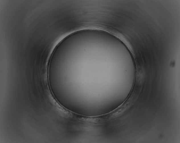 X0000091661004200708301435