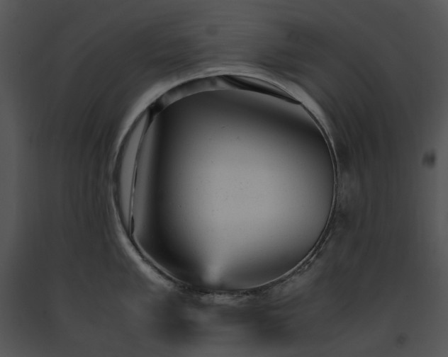 X0000091661005200708301435