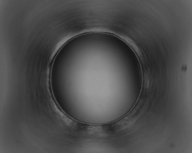 X0000091661006200708301435