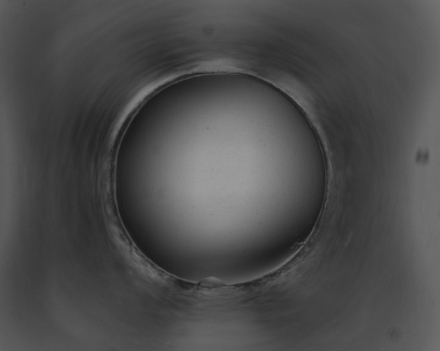 X0000091661008200708301435